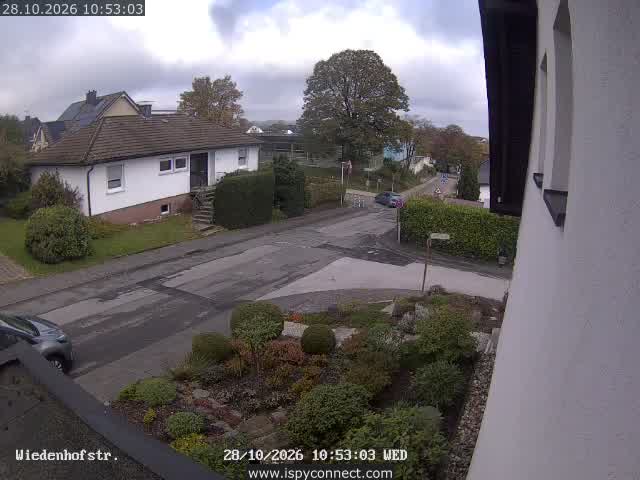 Webcam Wiedenhofstraße
